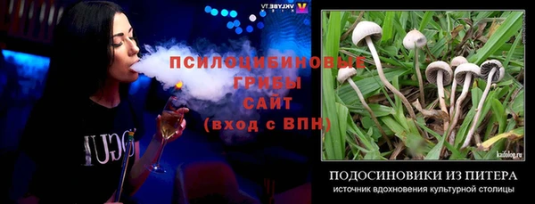 СК Новокубанск