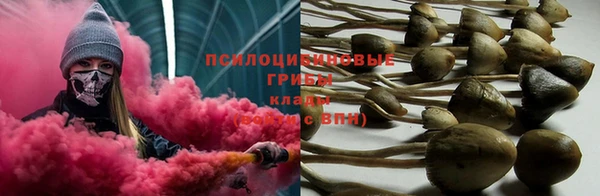 метадон Новодвинск