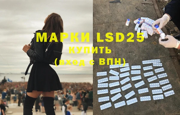 мдпв Новозыбков
