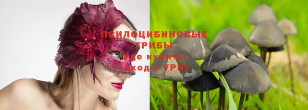 СК Новокубанск
