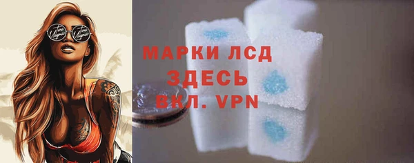 мдпв Новозыбков