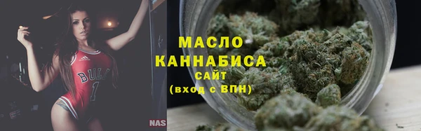 мдпв Новозыбков