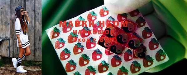 мдпв Новозыбков
