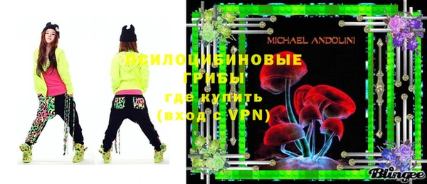 метадон Новодвинск