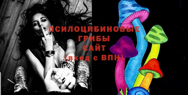метадон Новодвинск