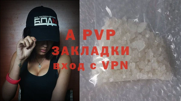 мдпв Новозыбков