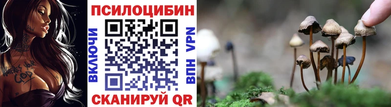 Купить  Сельцо  Галлюциногенные грибы ЛСД 